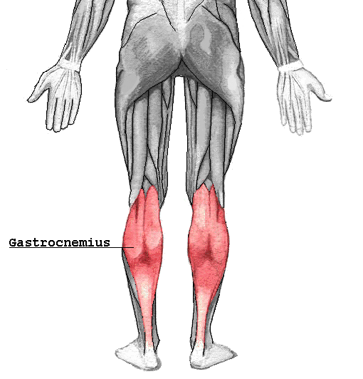 standing and seated calf raise alternatives